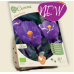 BIO - Kevätsahrami, Crocus Flower Record, 10 kpl NEW!
