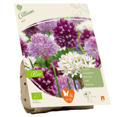 BIO - Laukka (Allium) Mix, 17 kpl. NEW!