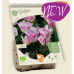 BIO - Ripsureunatulppaani (Tulipa Fringed) Siësta, 5 kpl NEW!