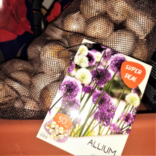 Laukka (Allium), Sekoitus, 50 kpl - NEW! TUOTE ON LOPPUUNMYYTY!