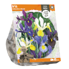  Hollanninkurjenmiekka, (Iris hollandica) Sekoitus, 15 kpl. TUOTE ON LOPPUUNMYYTY!