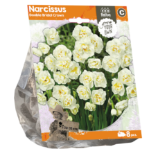 Narcissus (Daffodil) Double Bridal Crown, 8 psc. SALE - 60%!