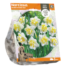 Narsissi (Narcissus) kerrattu Double Star, 3 kpl. ALE - 50%!