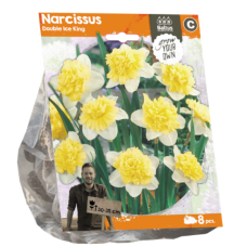 Tähtinarsissi (Narcissus) kerrattu Ice King, 8 kpl. TUOTE ON LOPPUUNMYYTY!