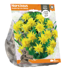 Narcissus Double Rip Van Winkle (Sp) per 5. SALE - 70%!