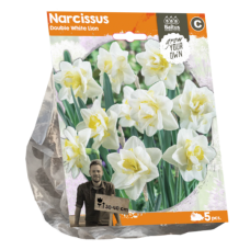 Narcissus Double  (Daffodils) White Lion, 5 pc. SALE - 70%!