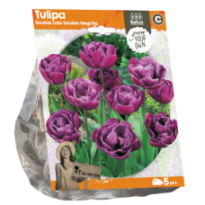 Tulipa Double Late Double Negrita, 5 psc. SALE - 80%!