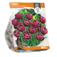 Tulppaani (Tulipa) Double Late Dream Touch (Sp), 5 kpl. TUOTE ON LOPPUUNMYYTY!
