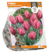 Tulppaani (Tulipa Triumph) Pretty Princess, 10 kpl. TUOTE ON LOPPUUNMYYTY!