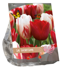 Urban Flowers - Lucky Love, «Kaupunkikukat», sekoitus,14 kpl. 