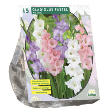 Gladiolus Pastel Mix, Miekkalilja, 15 kpl. TUOTE ON LOPPUUNMYYTY!