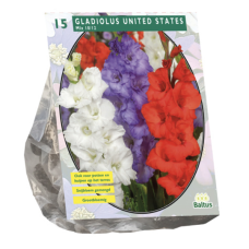 Gladiolus United States Mix per 15