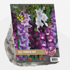 Urban Flowers - Purple Sky, Miekkalilja, 20 kpl VIIKON SUPERTARJOUS! 16.04 - 23.04