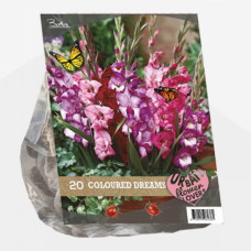 Urban Flowers - Colored Dreams per 20. SALE - 85%!