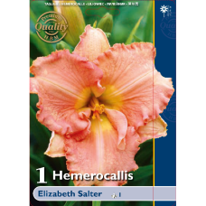 Hemerocallis 'Elizabeth Salter', 1 pc. 1L -container plant