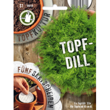 Tilli Ella, siemenkiekot (Anethum graveolens) NEW!