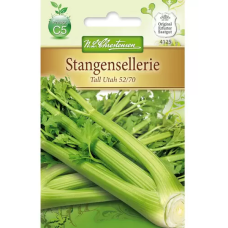Lehtiselleri Tall Utah 52/70 (Apium graveolens) NEW!
