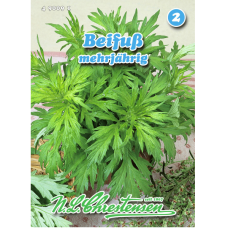 Koiruoho (Artemisia vulgare)