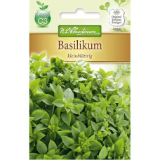 Pienilehtinen basilika (Ocimum basilicum) NEW! Pienilehtinen basilika (Ocimum basilicum) NEW!