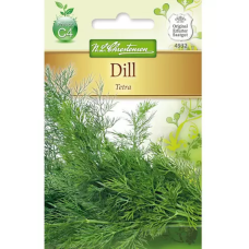 Tilli Tetra (Anethum graveolens) NEW!