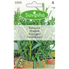 Rakuuna venäläinen  (Artemisia dracunculoides)