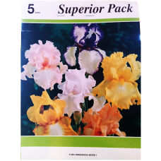 Iris Germanica, Saksankurjenmiekka Mix XXL, 5 kpl Iris Germanica, Saksankurjenmiekka Mix XXL, 5 kpl