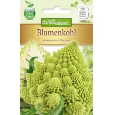 Kukkakaali Romanesco Precoce (Brassica oleracea) NEW!