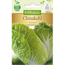 Kiinankaali 'Granaat' (Brassica oleracea) NEW! Kiinankaali 'Granaat' (Brassica oleracea) NEW!