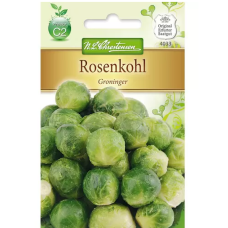 Ruusukaali Groninger (Brassica oleracea) NEW!