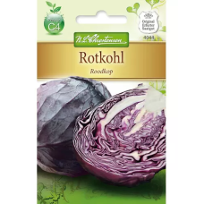 Punakaali Roodkop (Brassica oleracea var. capitata f. rubra)