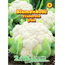 Cauliflower Frühernte (Brassica oleracea)