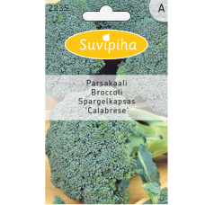 Broccoli Calabrese SALE -50%