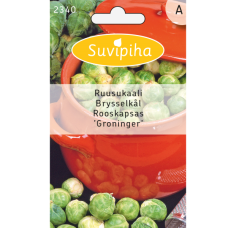 Brussels sprouts 'Groninger'