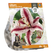 Lilium Oriental Tiger Woods, Lilja, 2 kpl ALE - 40%1
