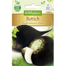 Retikka ´Runder schwarzer Winter` (Raphanus sativus) NEW!