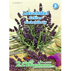 Lavandula angustifolia, Lavender 