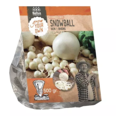 Istukassipuli (Alliun cepa) Snowball, 500 gr TUOTE ON LOPPUUNMYYTY!
