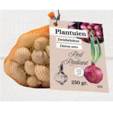 Istukassipuli (Allium cepa) Red Radiant, 250 gr