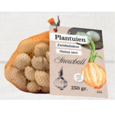 Istukassipuli (Allium cepa) Snowball, 250 gr 