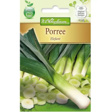 Purjo Elefant (Allium porrum) NEW!