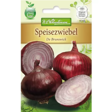 Onion De Brunswick (Allium cepa)