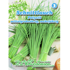 Ruohosipuli 'Polyvit' (Allium schoenoprasum)