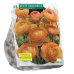 Gotlanninleinikki, Ranunculus, oranssi, 15 kpl.