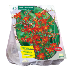 Crocosmia Emberglow, Ruostekukka,15 kpl. ALE - 80%!