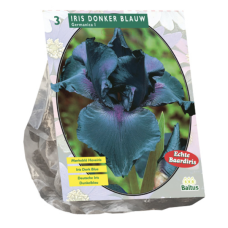 Iris Germanica, Dark Blue, 3 psc , 3l pot plant SALE - 40%!