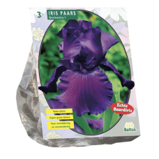Iris Germanica, Purple, 3 psc
