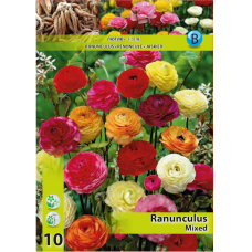 Ranunculus, Gotlanninleinikki Mix, 10 kpl Ranunculus, Gotlanninleinikki Mix, 10 kpl
