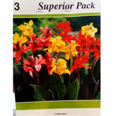 Canna, Kanna Mixed, sekoitus XXL, 3 kpl Canna, Kanna Mixed, sekoitus XXL, 3 kpl