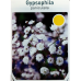 Gypsophilia Paniculata, Morsiusharsoja, valkoinen, 2 kpl 