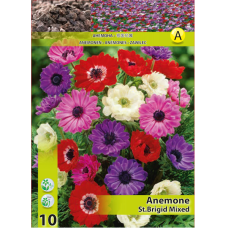Anemone Coronaria St. Brigid Mix, Kruunuvuokko, 15 kpl Anemone Coronaria St. Brigid Mix, Kruunuvuokko, 15 kpl